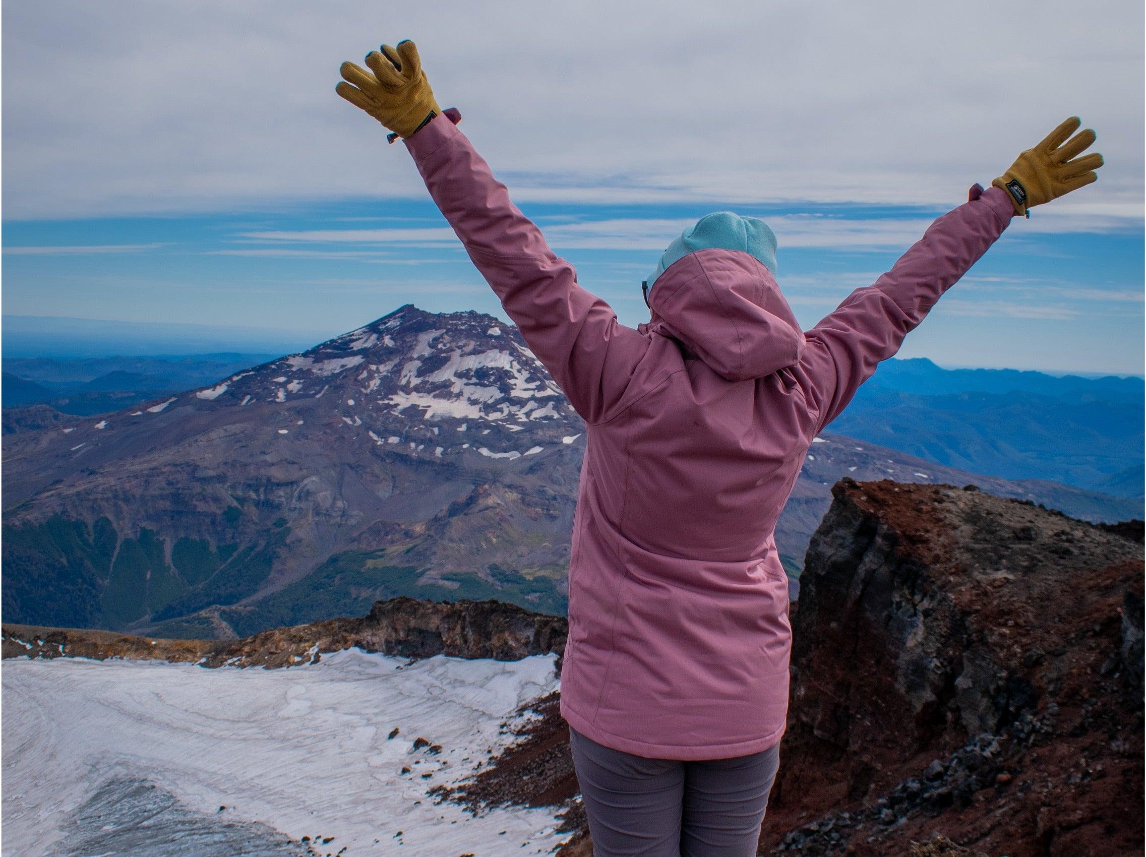 Parques Nacionales Curacautín