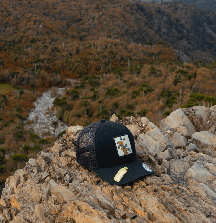 Jockey - Martín Pescador - Ojos Viajeros