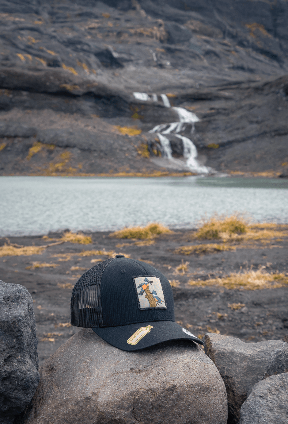 Jockey - Martín Pescador - Ojos Viajeros