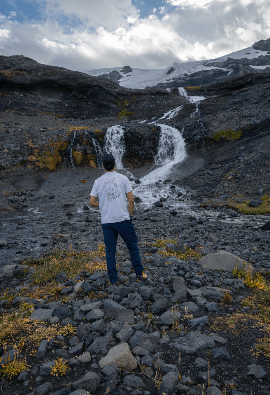 Polera Premium Unisex Blanco Zorro Chilla - Ojos Viajeros