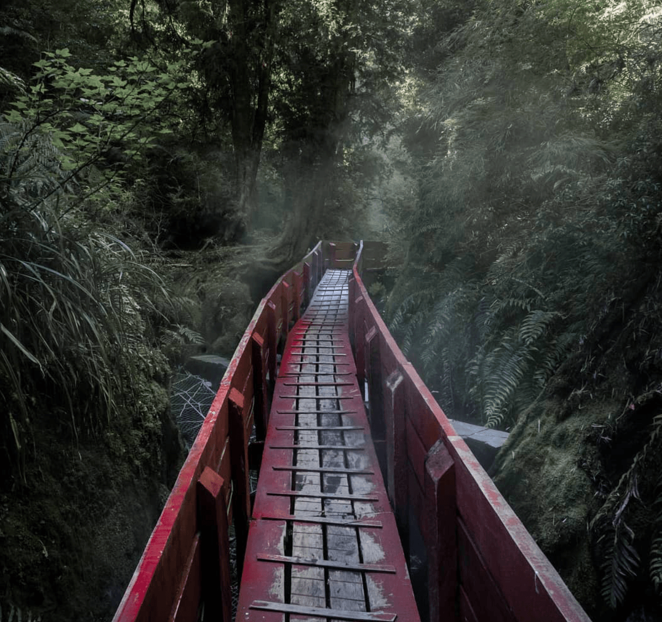 Tour Termas Geométricas | Desde Pucón - Ojos Viajeros