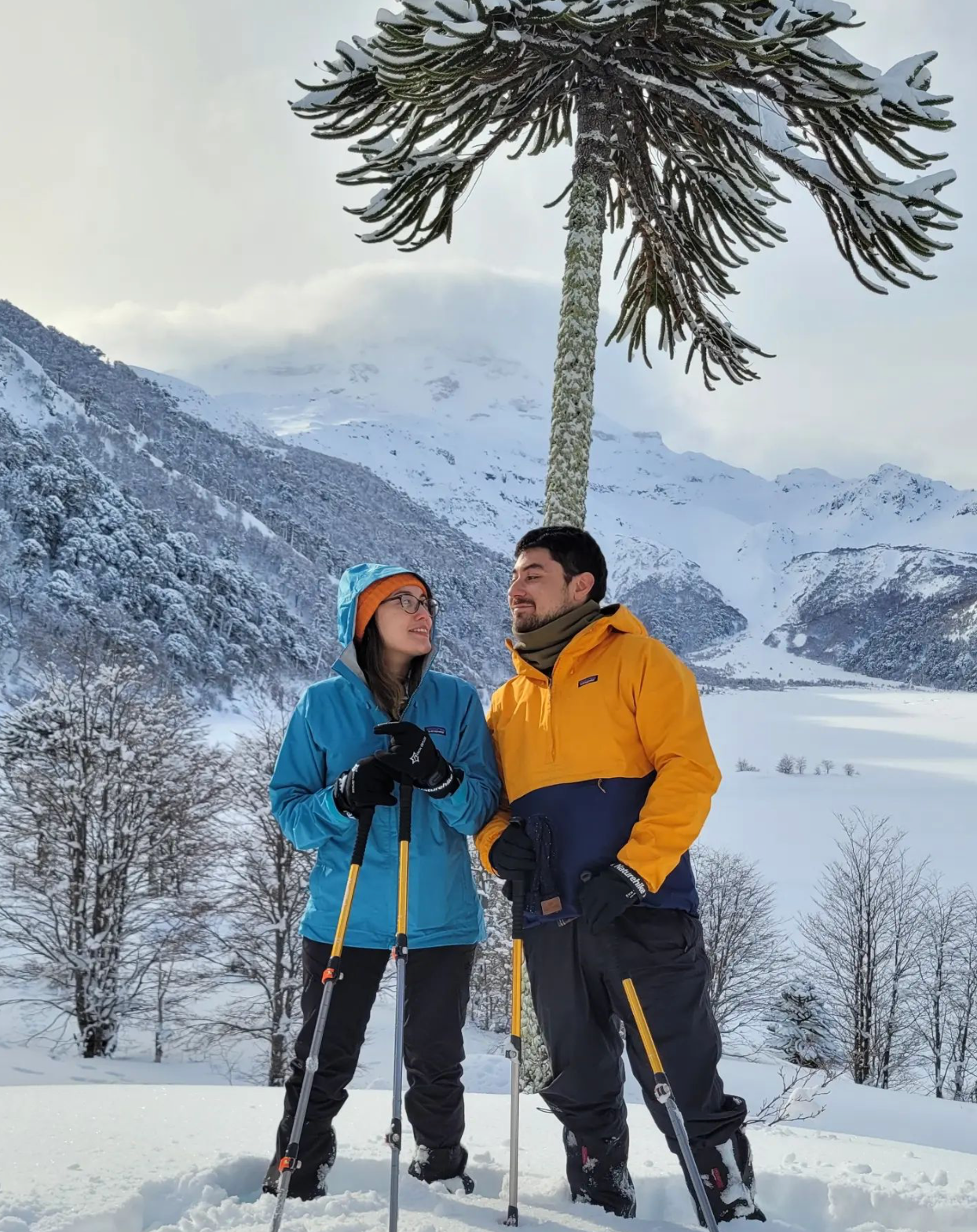 Trekking Full Day Mirador Laguna Blanca | Desde Curacautín - Ojos Viajeros