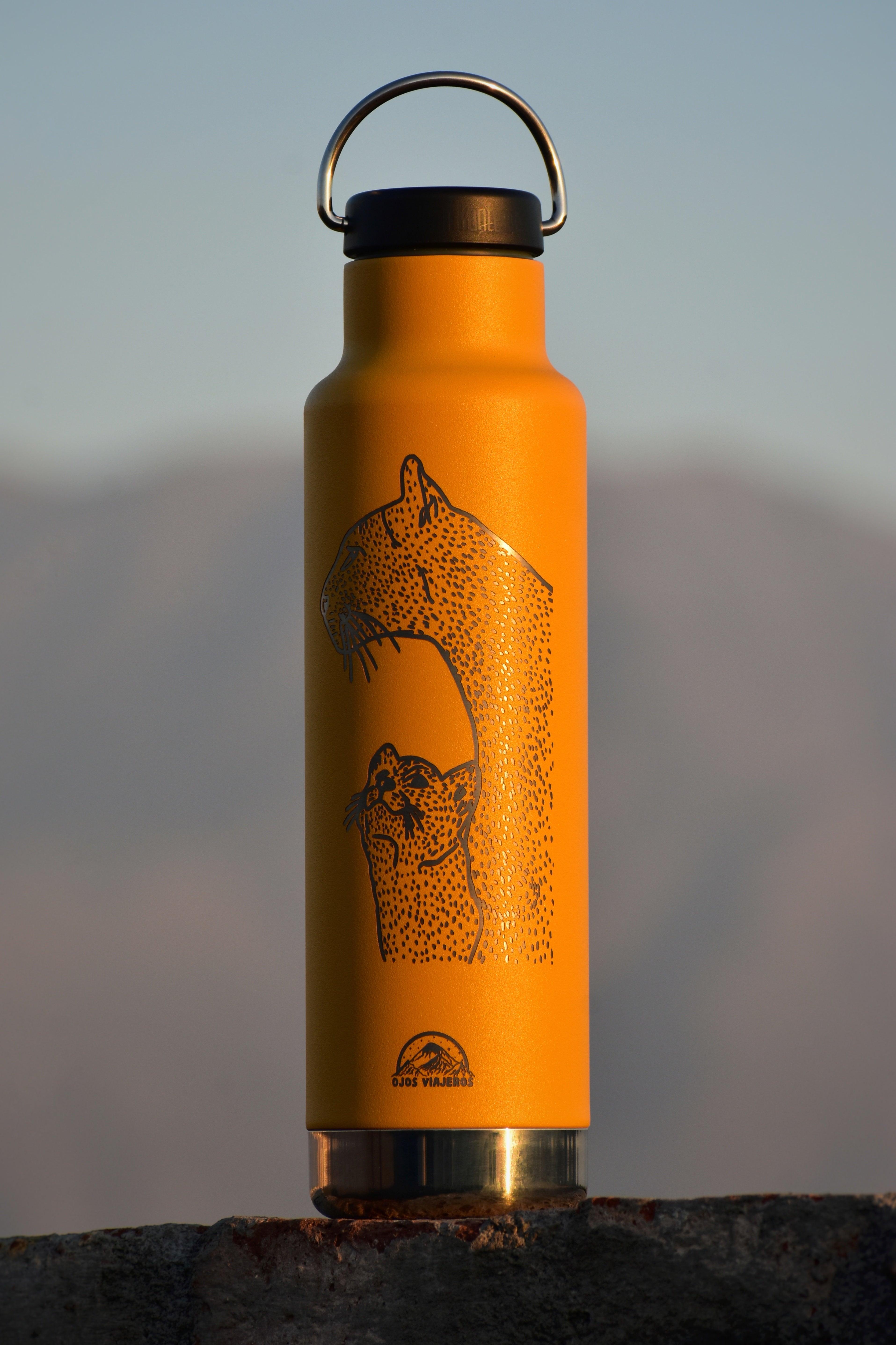 Botella Clásica Aislante Klean Kanteen - Pumas - Ojos Viajeros