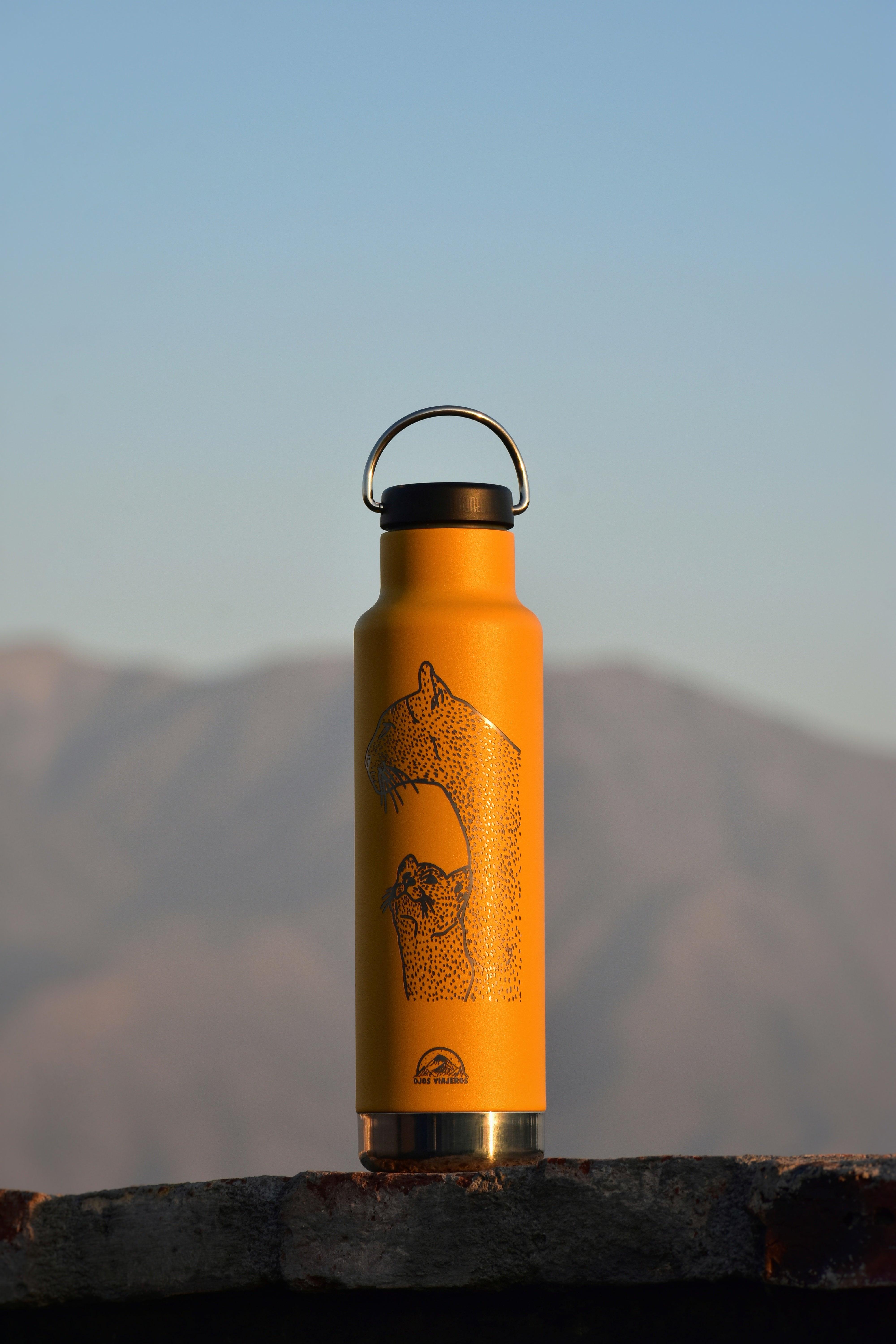 Botella Clásica Aislante Klean Kanteen - Pumas - Ojos Viajeros