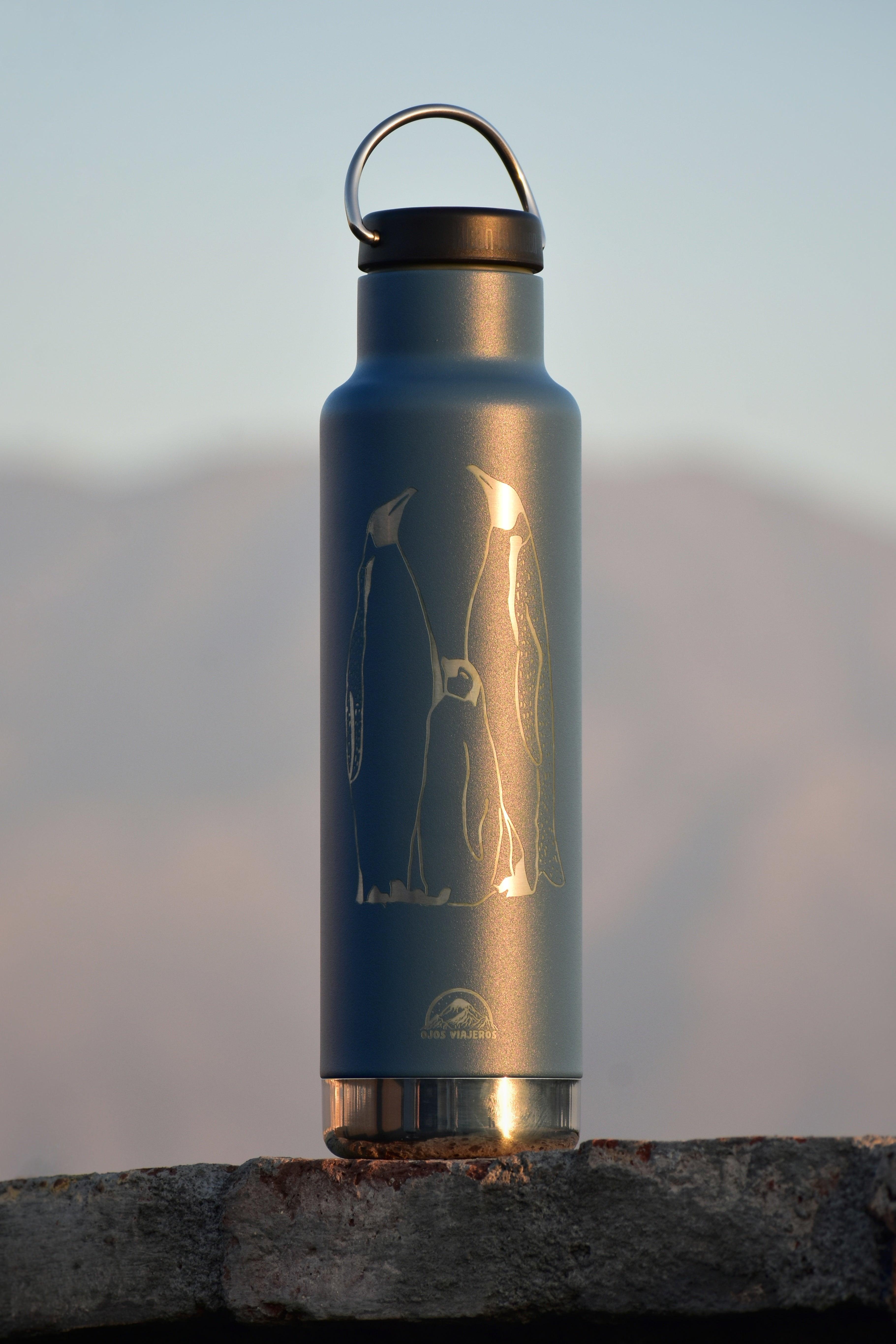 Botella Clásica Aislante Klean Kanteen - Pingüinos Emperador - Ojos Viajeros