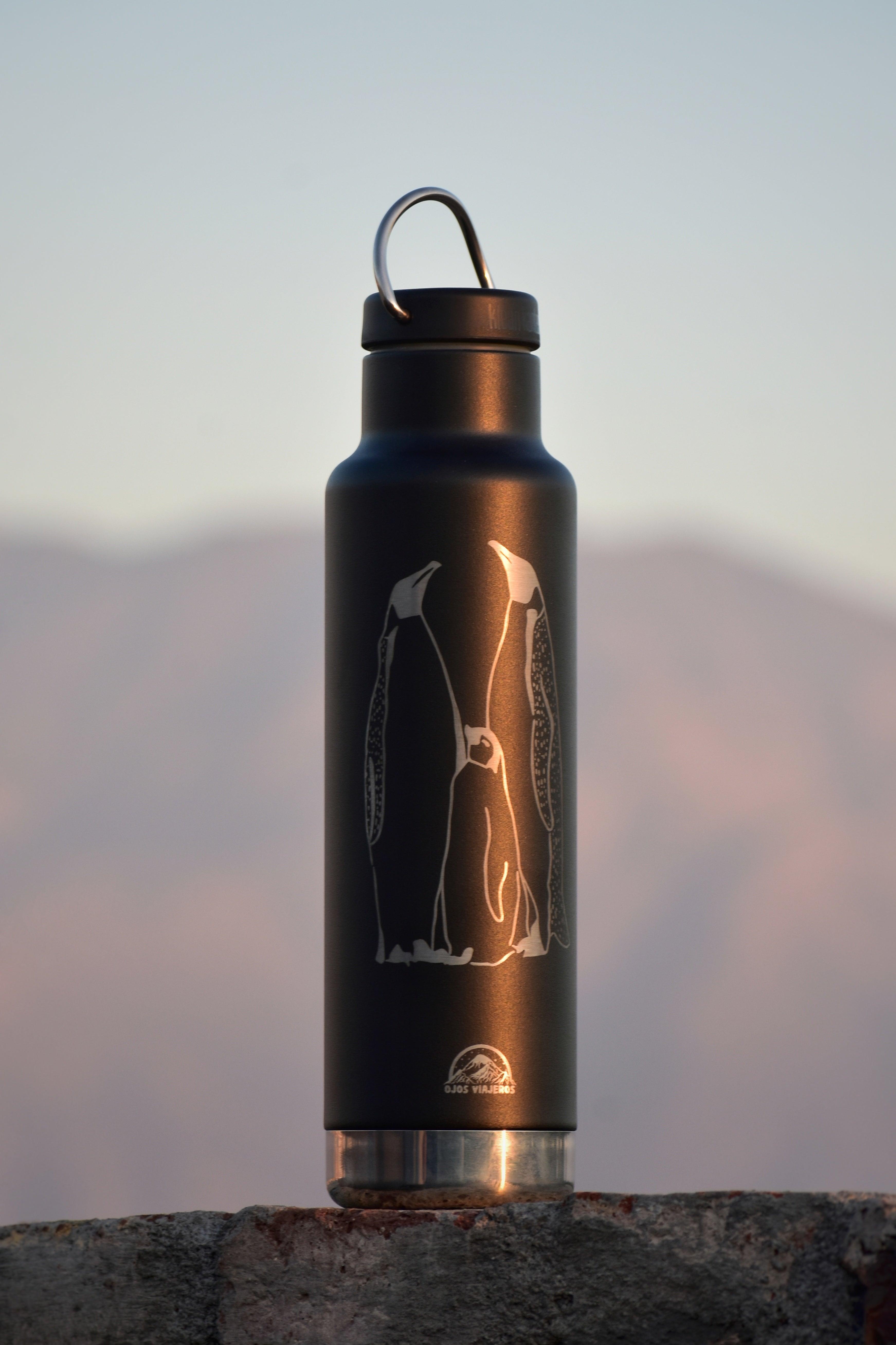 Botella Clásica Aislante Klean Kanteen - Pingüinos Emperador - Ojos Viajeros