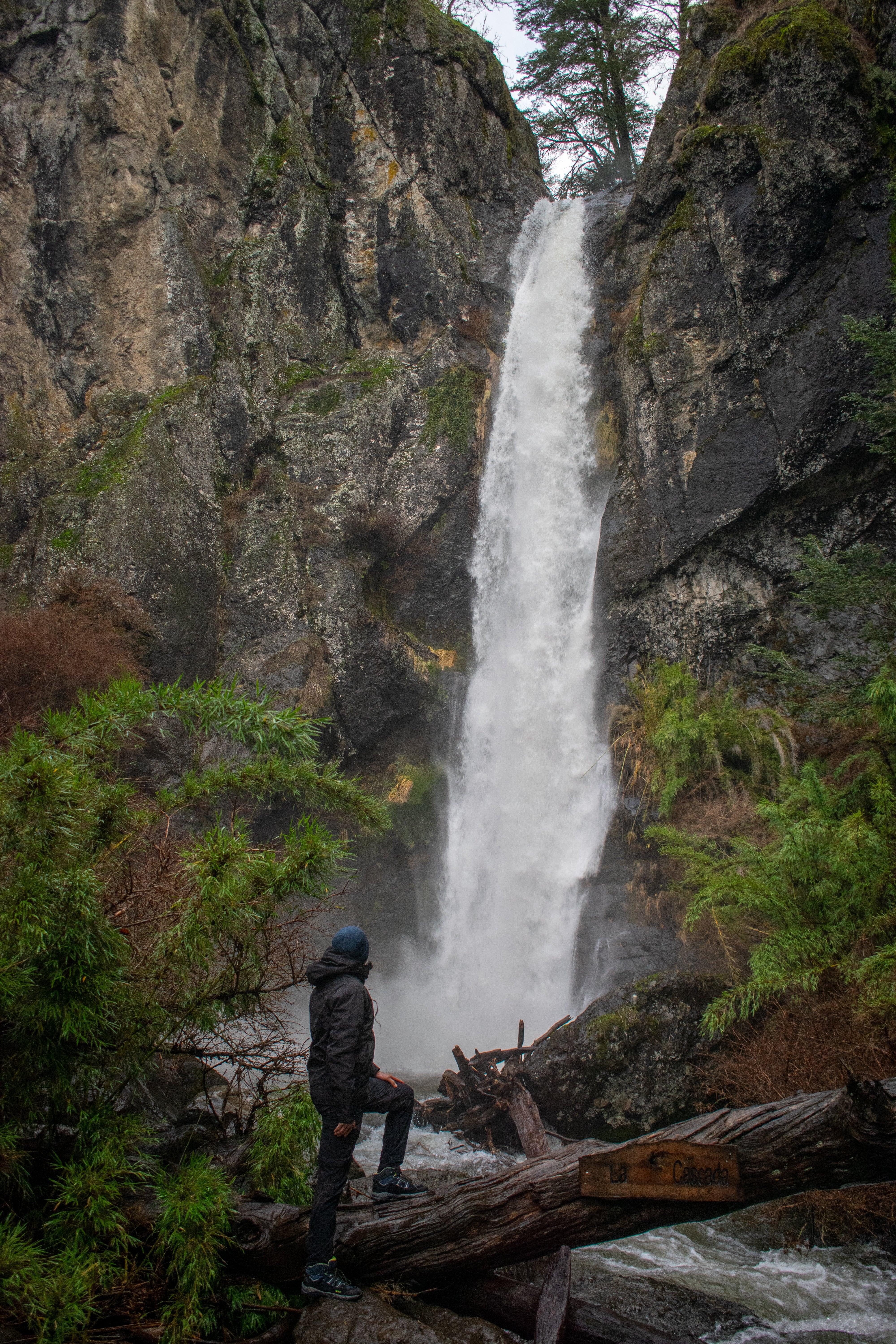 Full Day Araucania Andina Malalcahuello y Lonquimay | Desde Curacautín - Ojos Viajeros