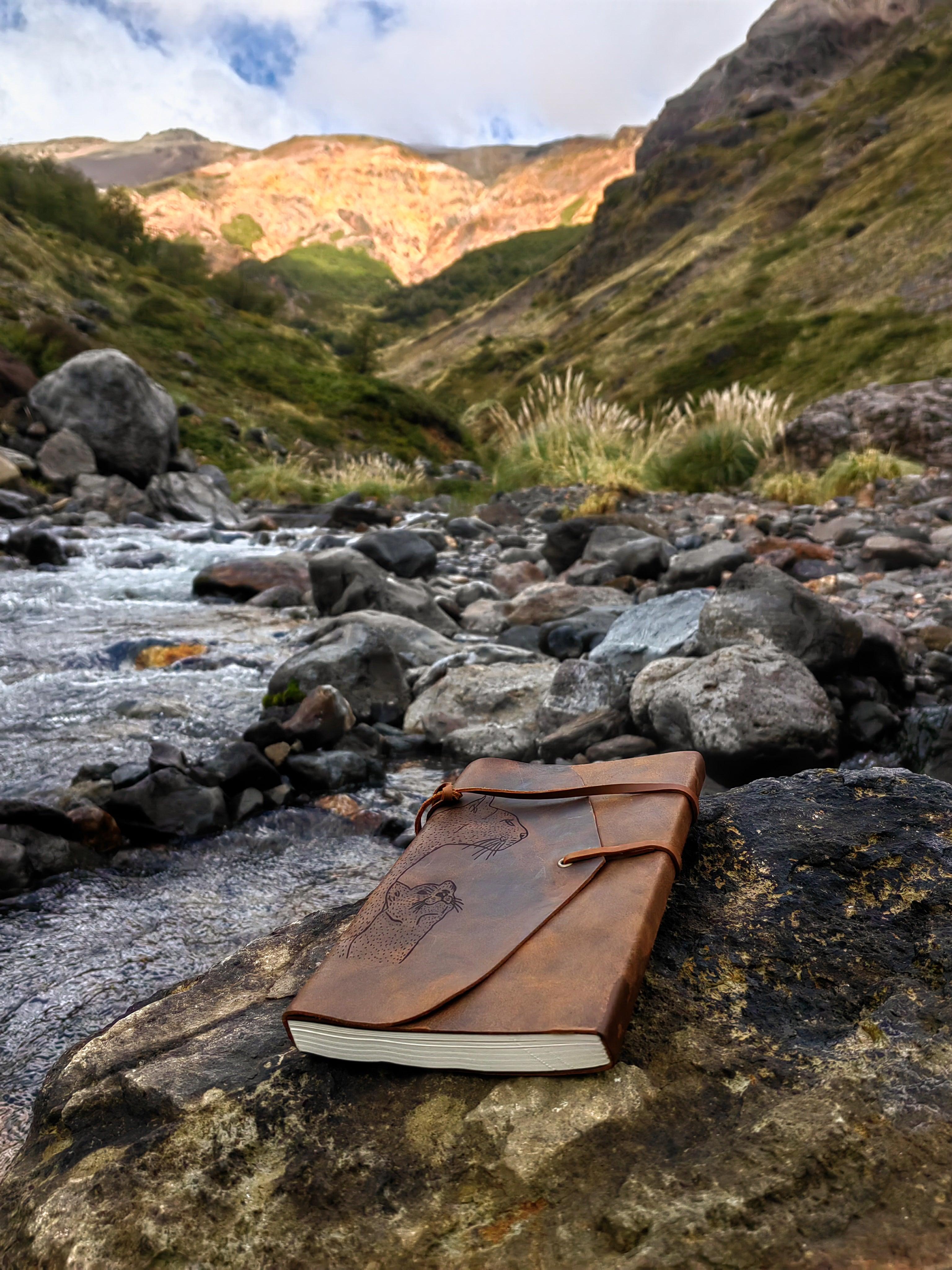 Libreta de Cuero Familia de Pumas - Ojos Viajeros