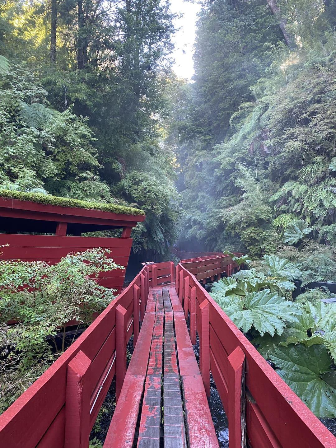 Tour Termas Geométricas | Desde Pucón - Ojos Viajeros