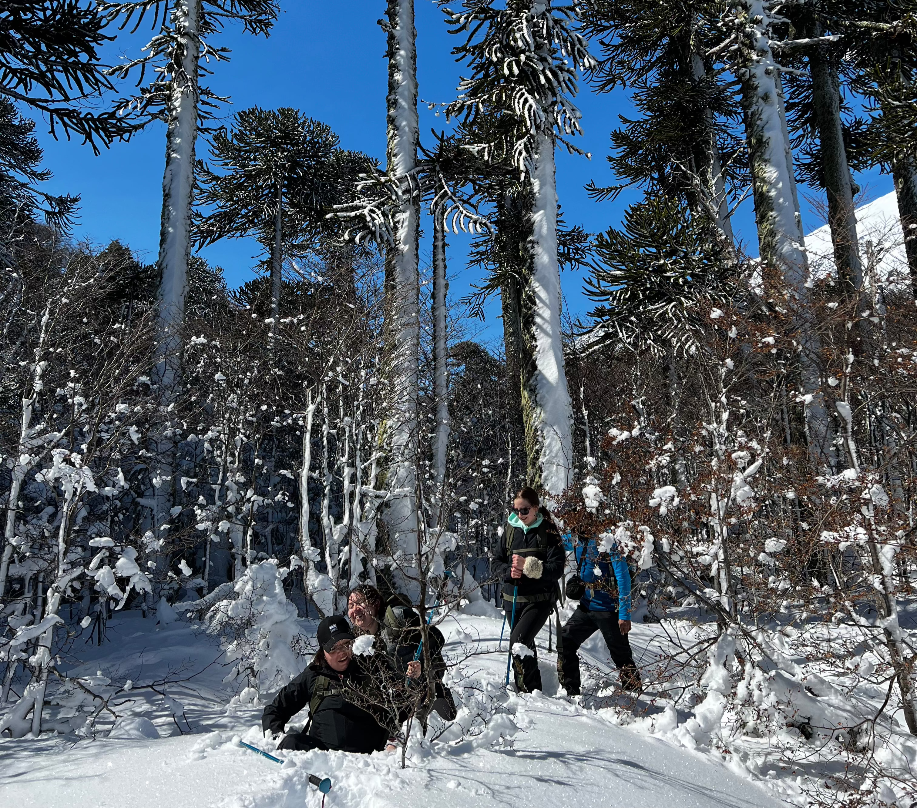 Trekking Lagunas Andinas | Desde Pucón - Ojos Viajeros