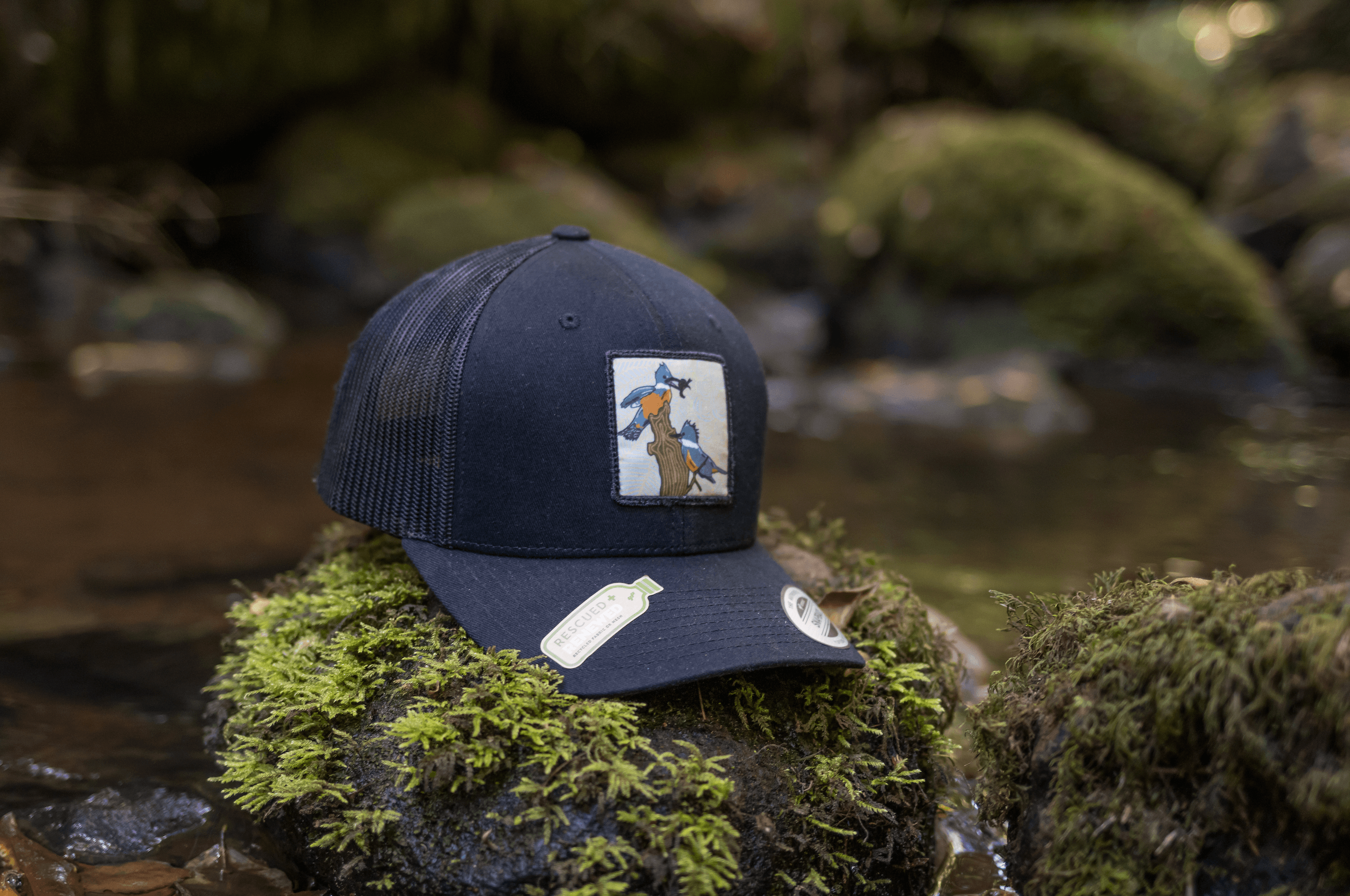 Jockey - Martín Pescador - Ojos Viajeros