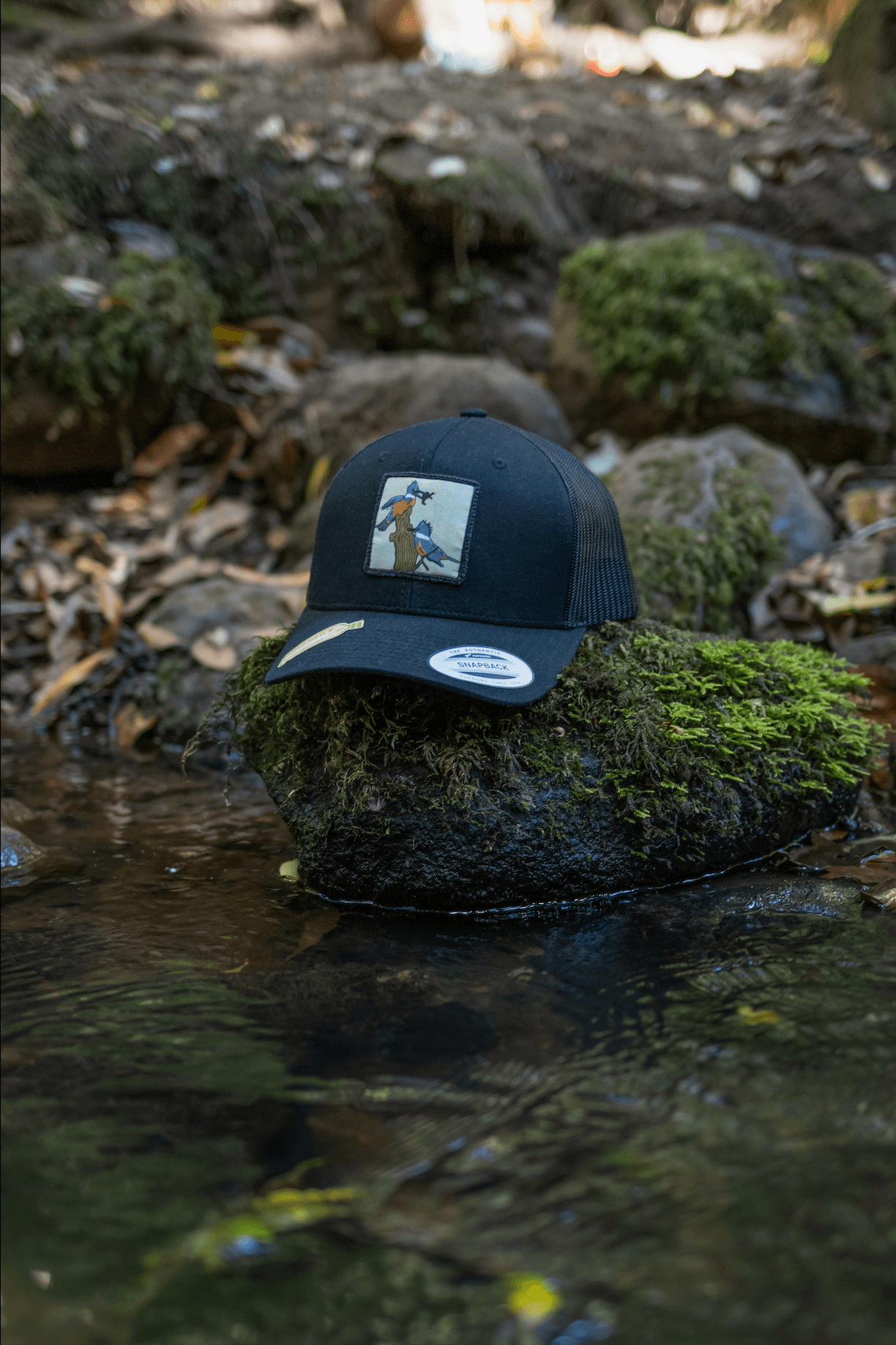 Jockey - Martín Pescador - Ojos Viajeros