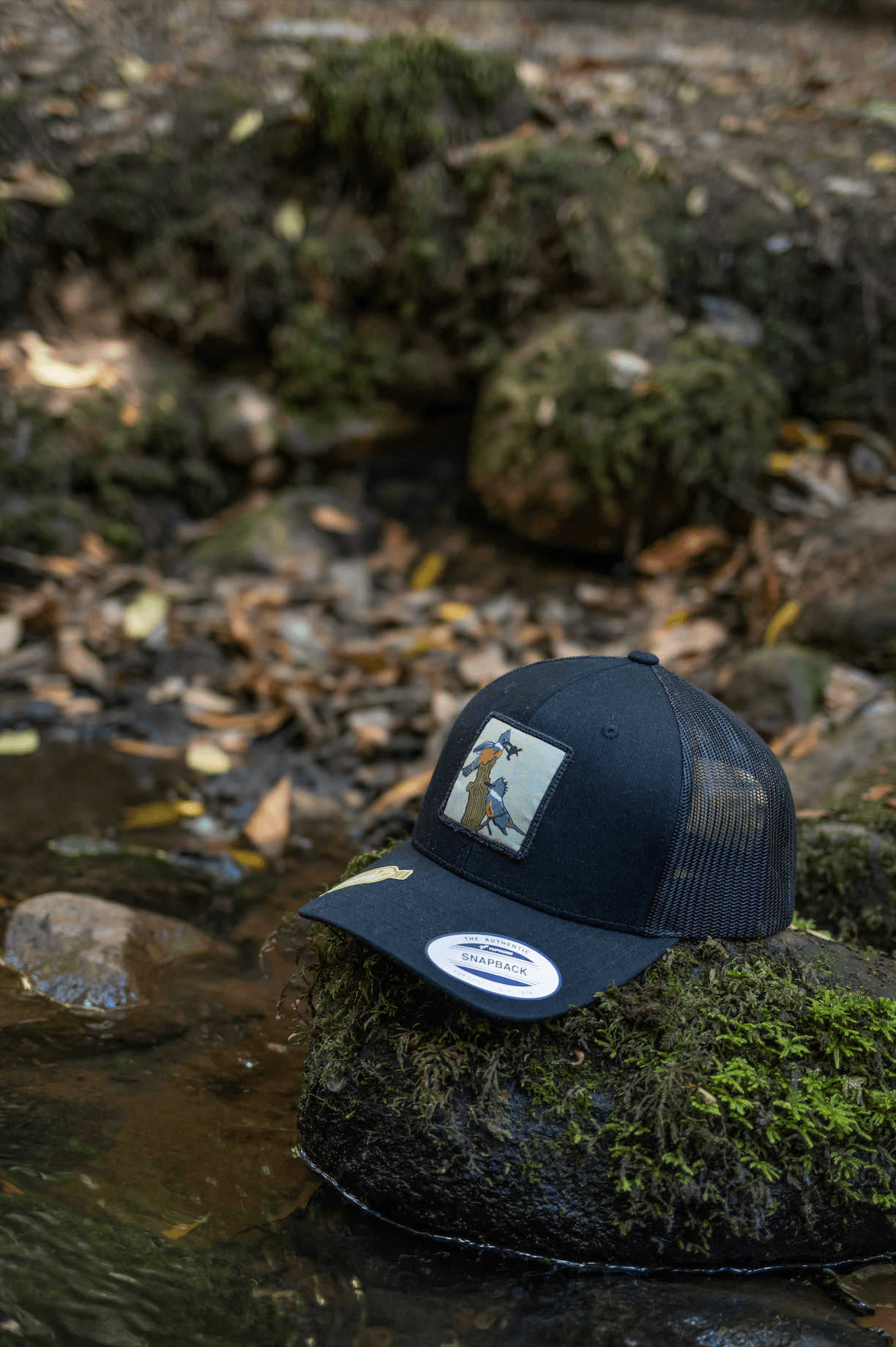 Jockey - Martín Pescador - Ojos Viajeros