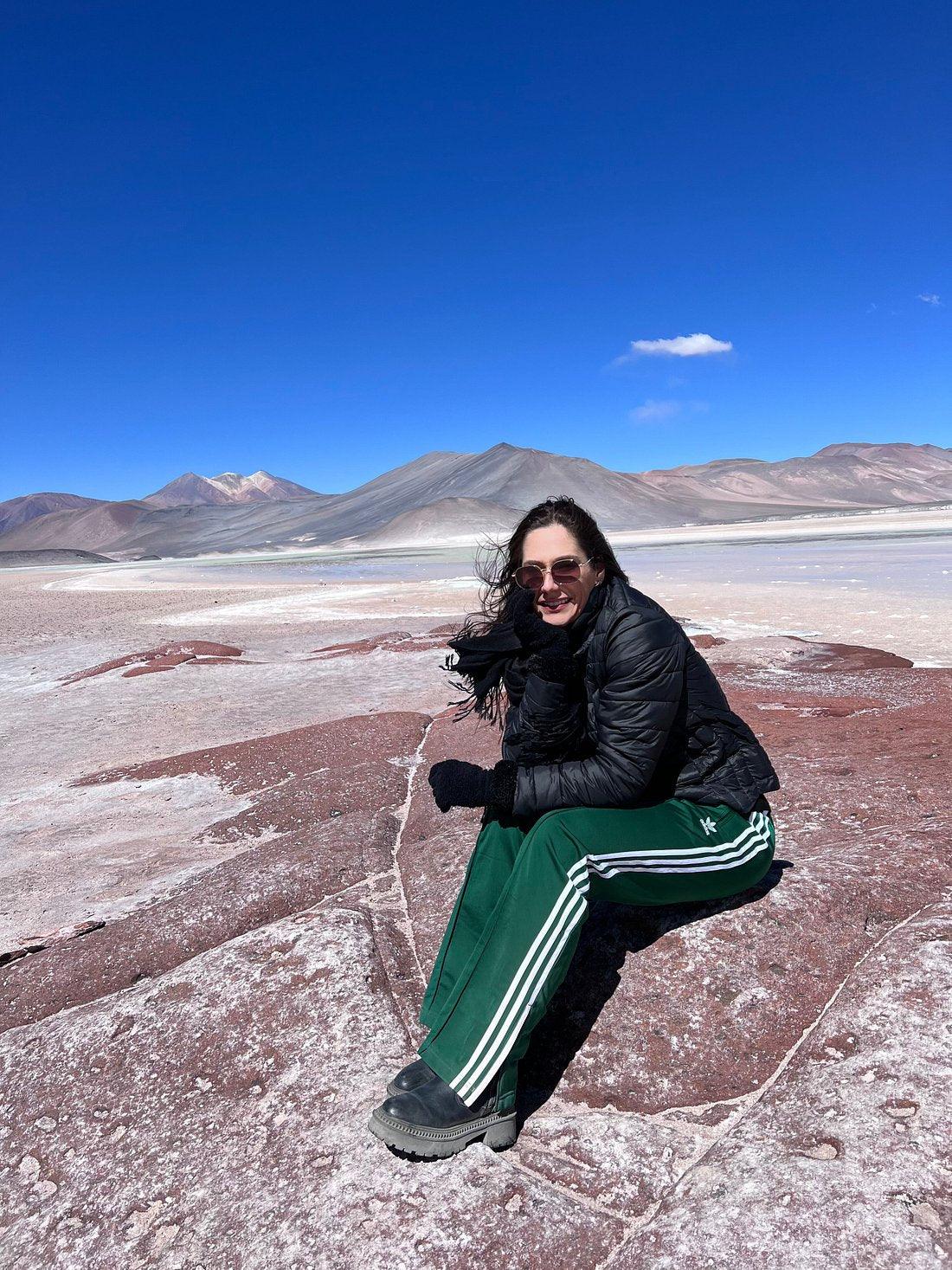 Full Day Piedras Rojas y Lagunas Altiplanicas | Desde San Pedro de Atacama