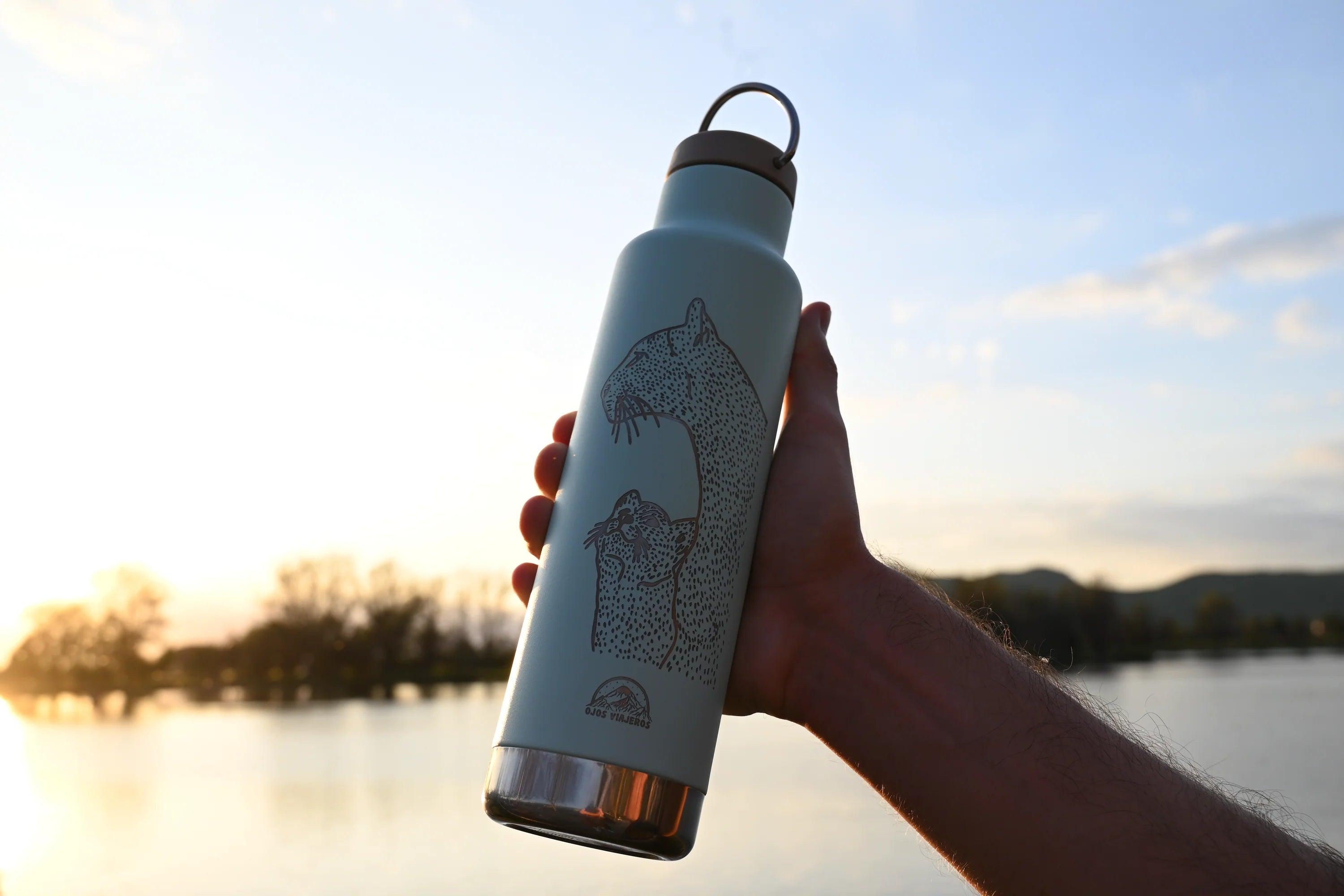 Botella Clásica Aislante Klean Kanteen - Pumas - Ojos Viajeros