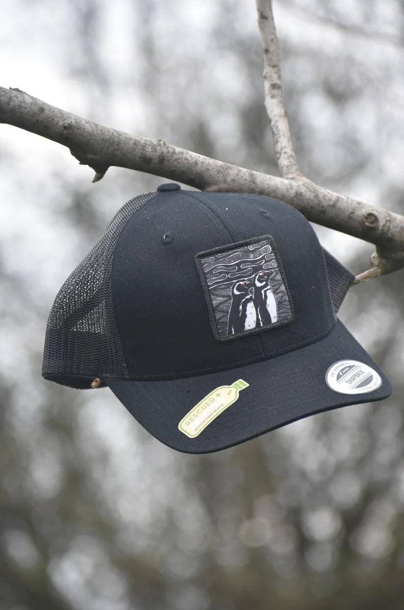 Jockey - Pingüinos de Magallanes - Ojos Viajeros