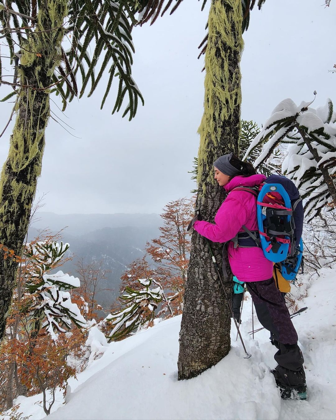 Trekking Full Day Sendero Sierra Nevada | Desde Melipeuco