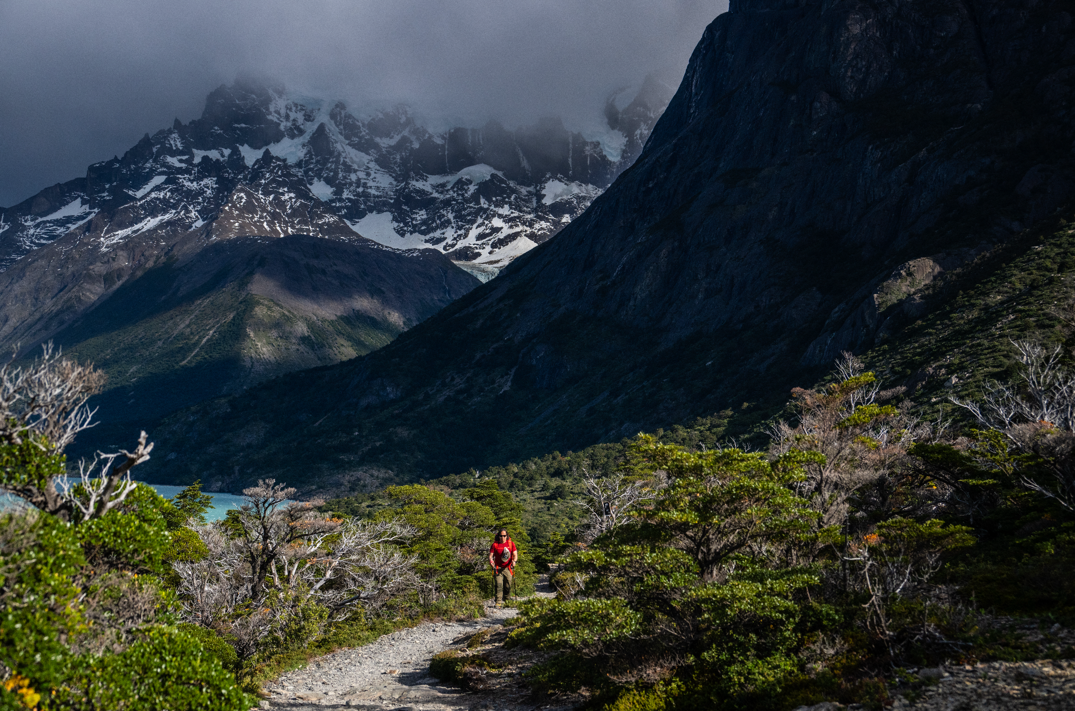 Circuito W Express 4 días y 3 noches | Desde Puerto Natales