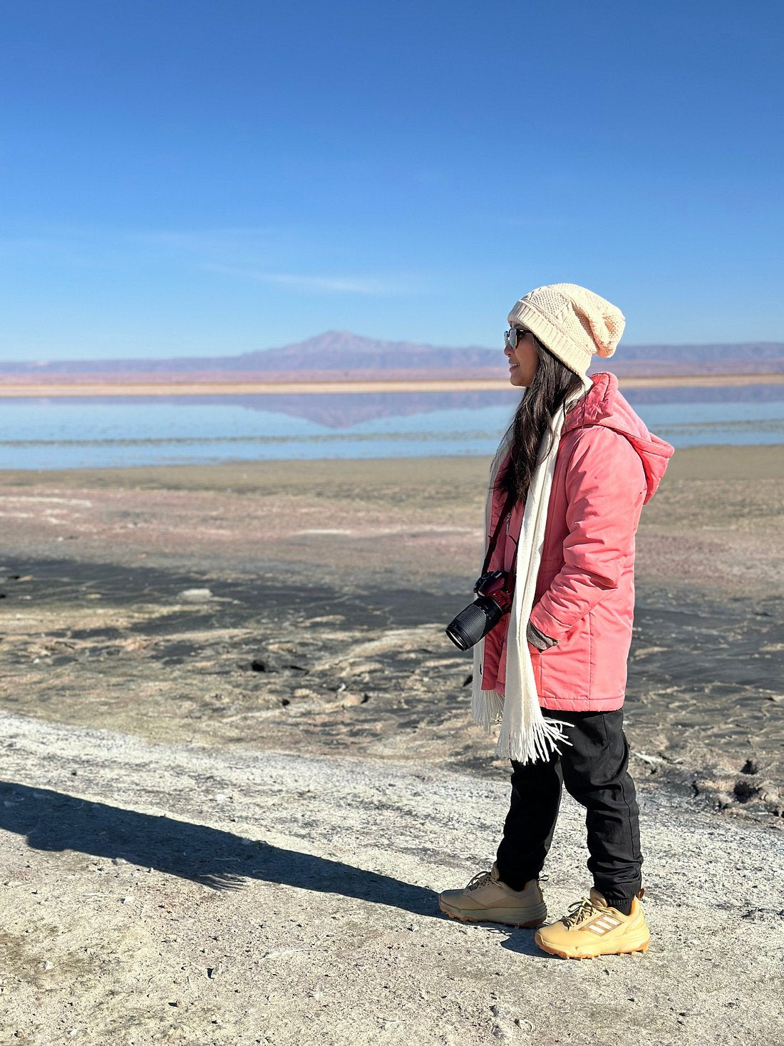 Full Day Piedras Rojas and Altiplanica Lagoons | San Pedro de Atacama 